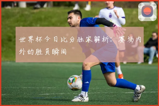 世界杯今日比分独家解析：赛场内外的胜负瞬间