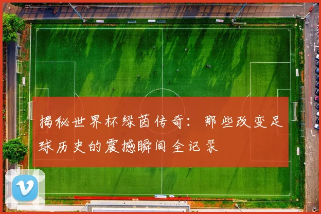 揭秘世界杯绿茵传奇：那些改变足球历史的震撼瞬间全记录