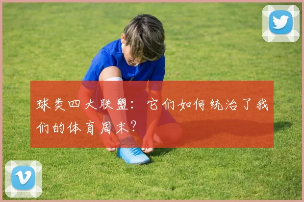 球类四大联盟:它们如何统治了我们的体育周末?